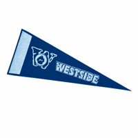 4" x 10" Custom Printed Pennant Strip