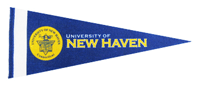 University Pennant Flags