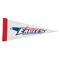 5" x 12" Wholesale Pennant Flags